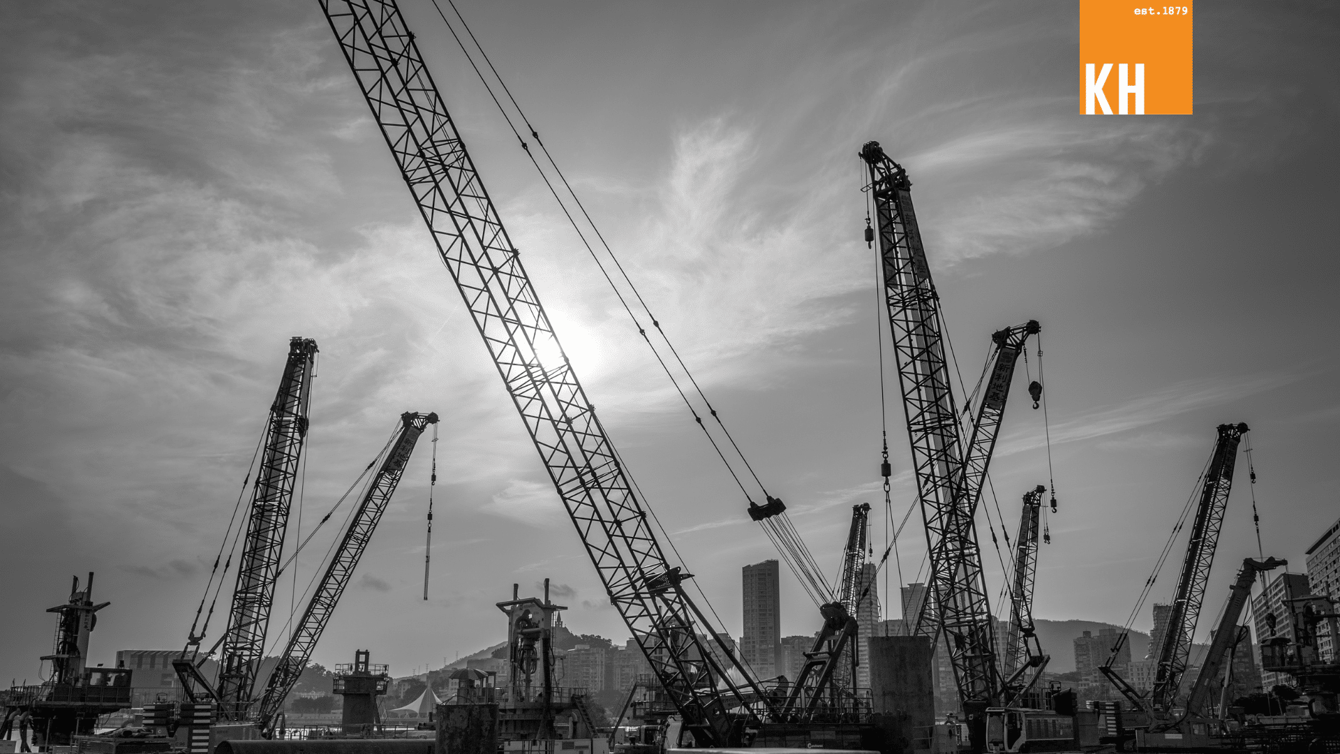 Crane in the sky